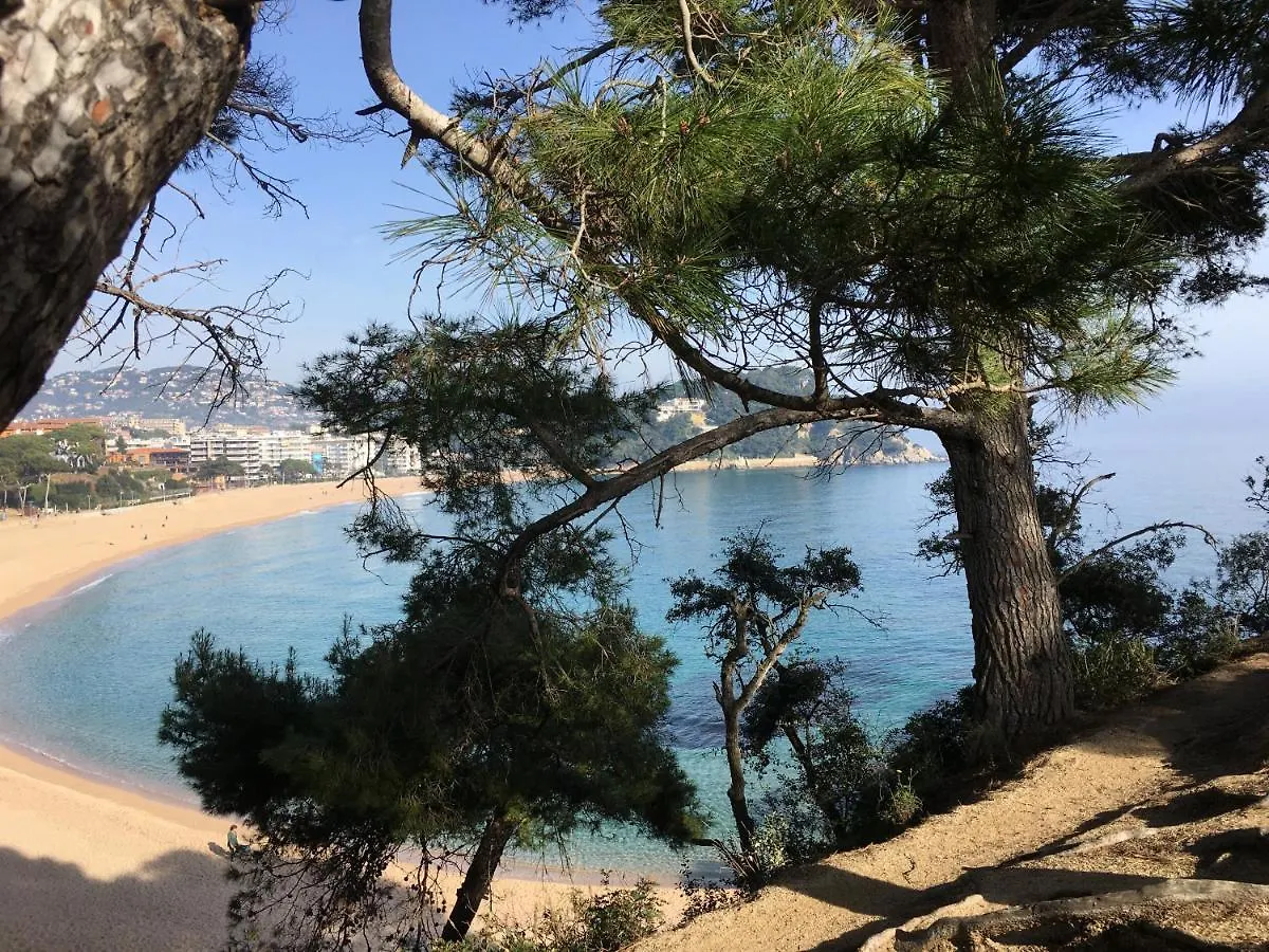 Apartment Vivalidays Stephane - Fenals - Lloret De Mar